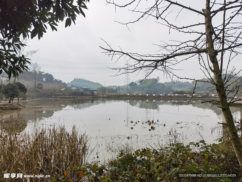 宁静湖畔自然风光