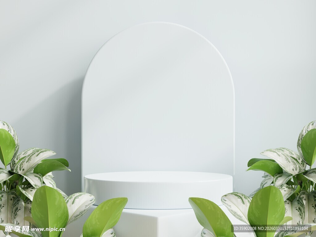 简约绿植环绕的白色展台