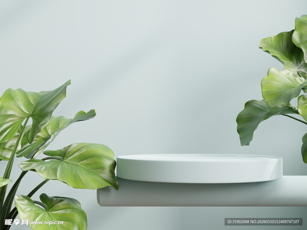 简约绿植旁的白色圆盘