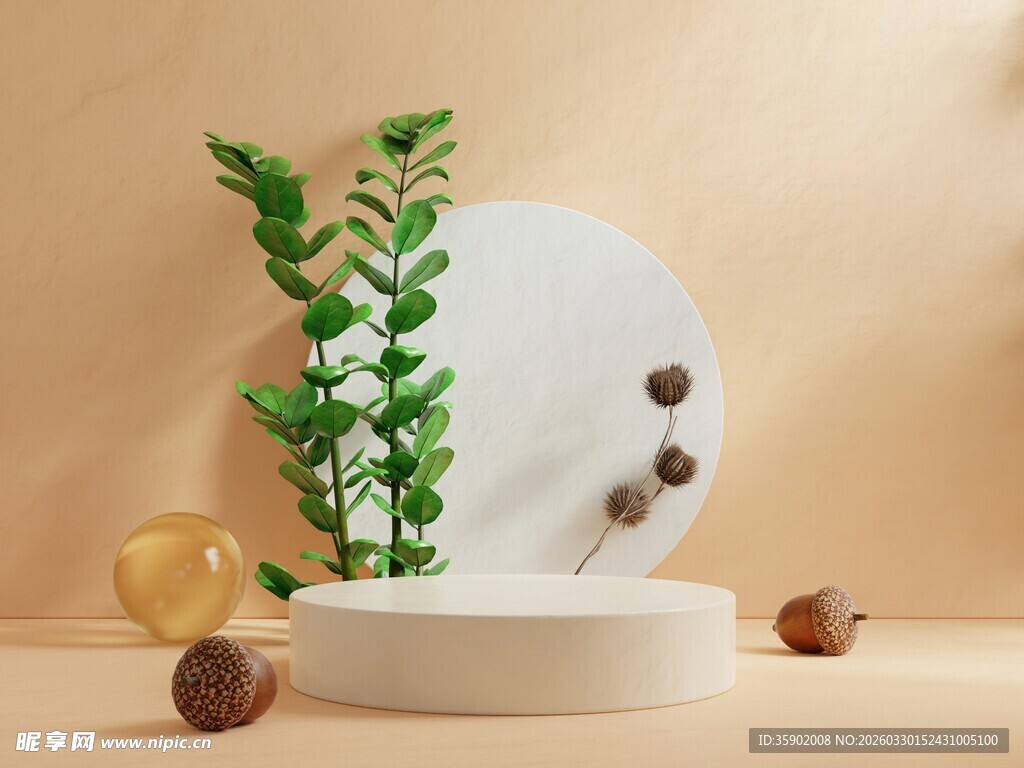 简约绿植摆件雅致小景