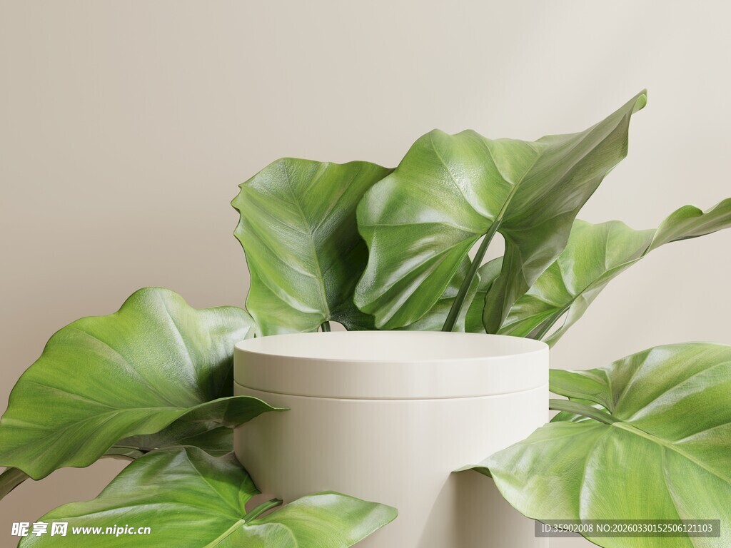 白色花盆中的翠绿叶片