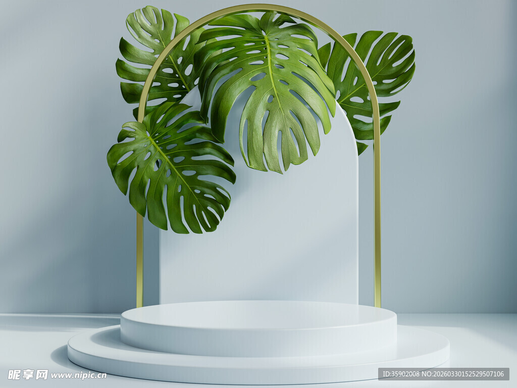 绿植装饰的白色展示台