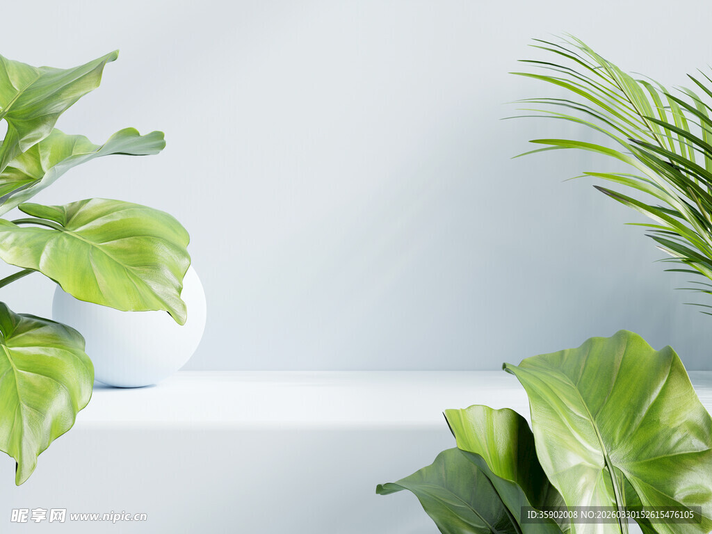 清新绿植装点简约空间