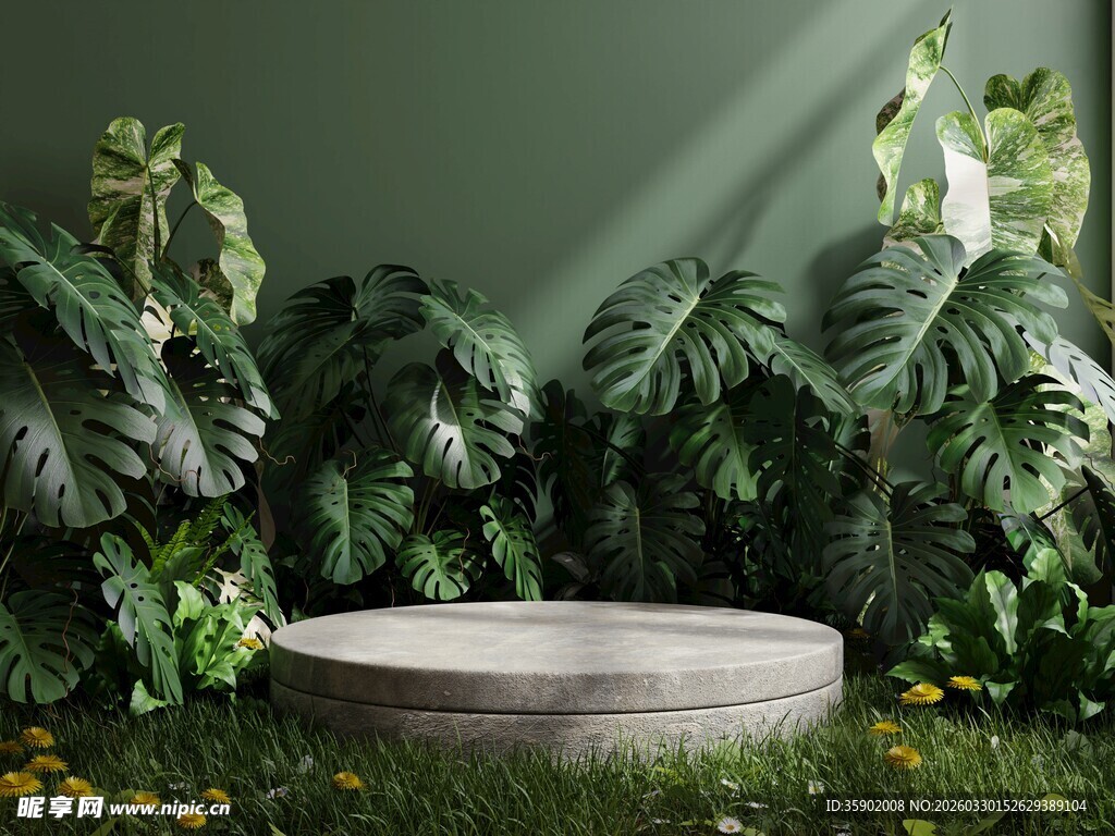 绿植环绕的圆形石质平台