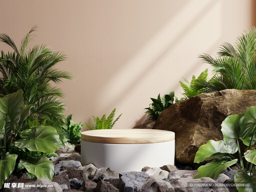 室内绿植环绕的简约花盆