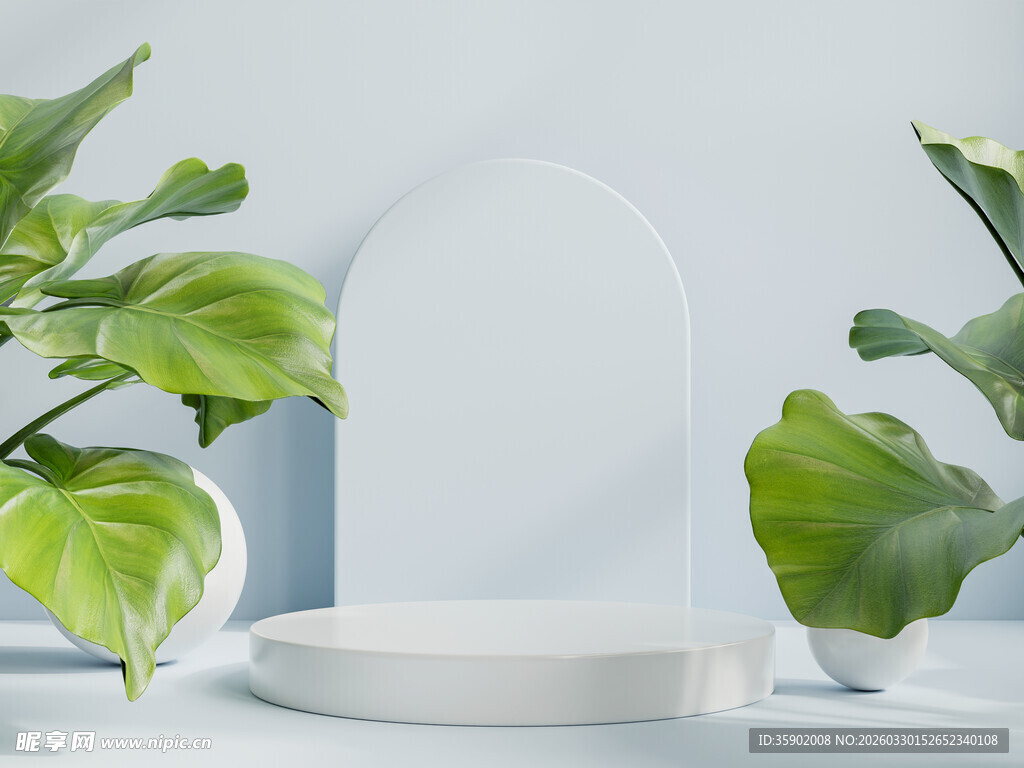 简约绿植摆件与白色器物