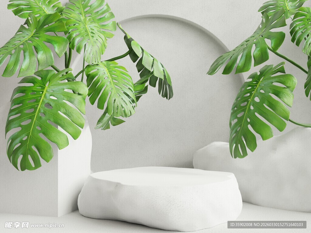 室内绿植装饰简约场景