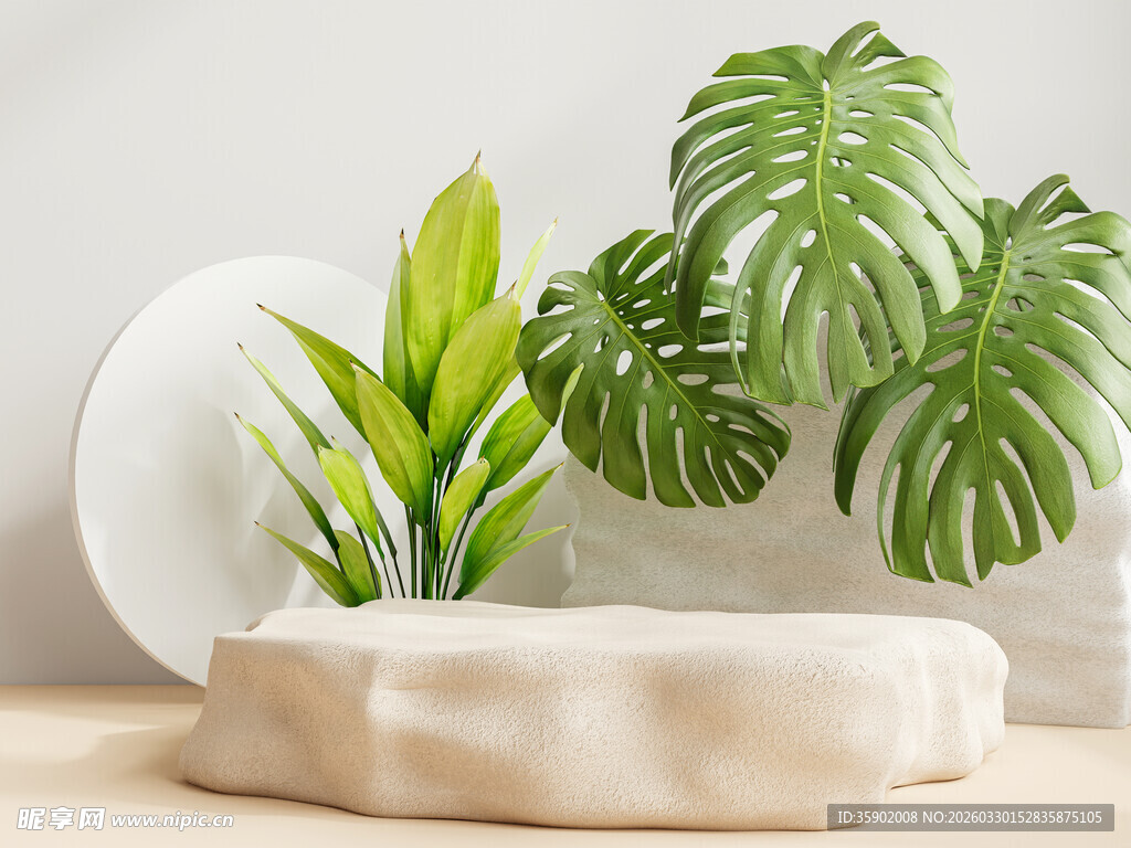 简约风室内绿植摆件展示