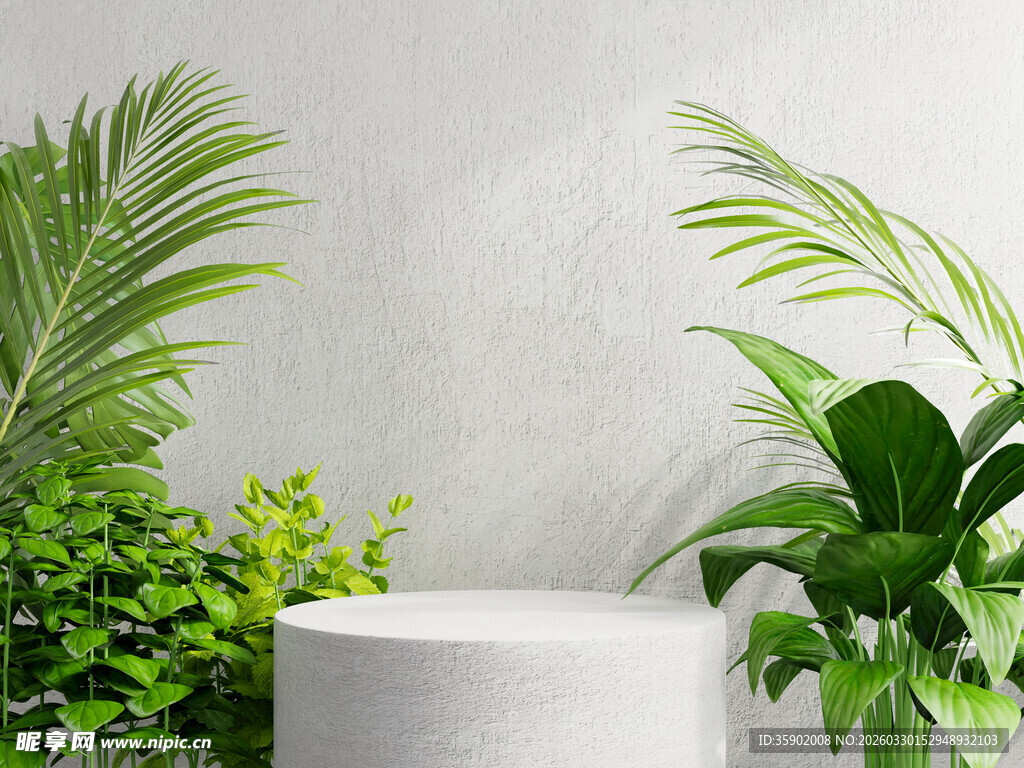 室内绿植与白色摆件组合