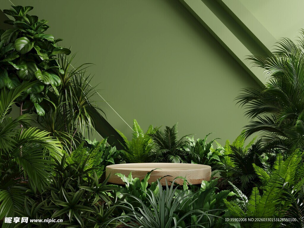 绿植环绕的静谧角落