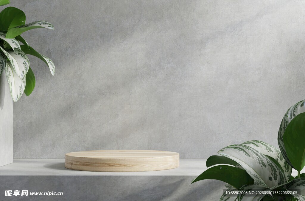 简约植物与盘饰摆放场景