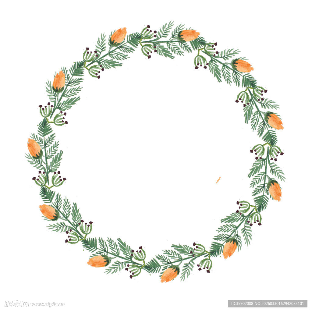 手绘柑橘花环装饰图案