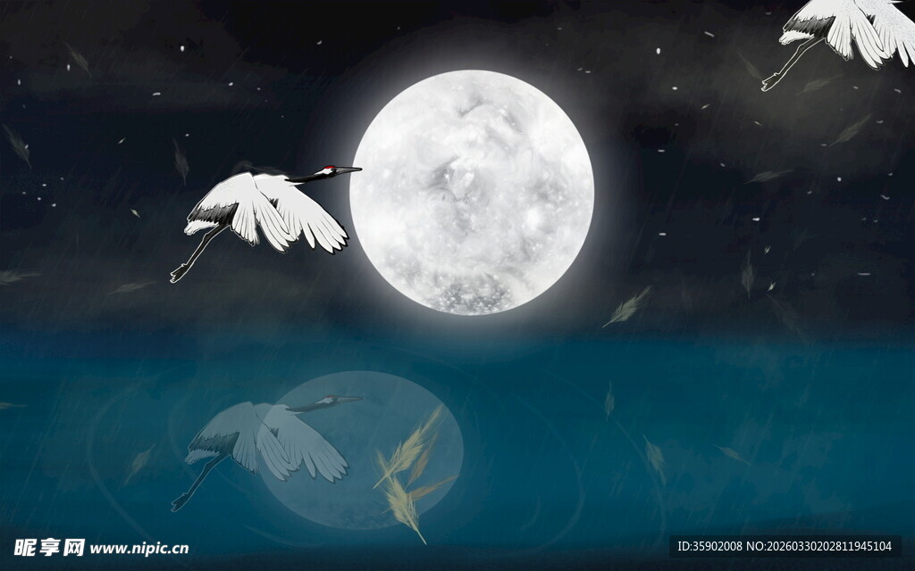 月夜海龟在海中游弋