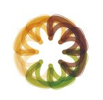 多彩环形抽象艺术图案