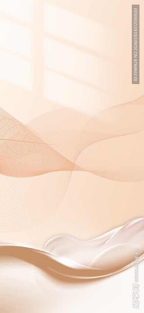 柔软床垫上的优雅贝壳