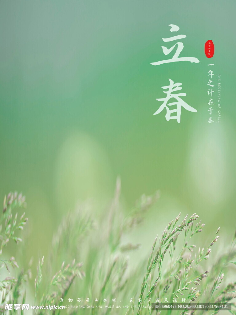 立春时节的清新草地