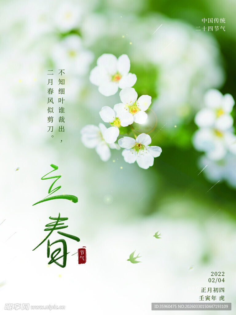 立春节气花卉清新画面