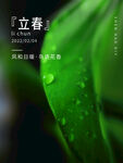 立春时节绿叶上的晶莹水珠