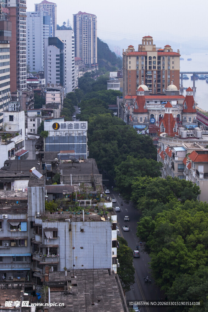 城市街景中的高楼与绿树