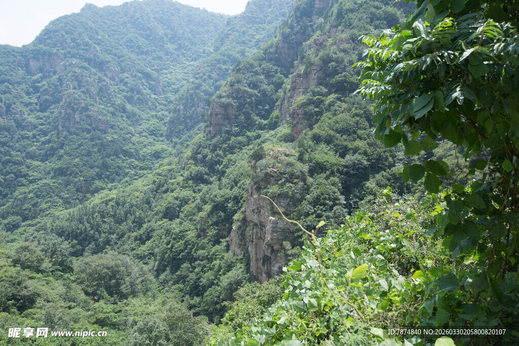 翠绿山峦间的繁茂植被