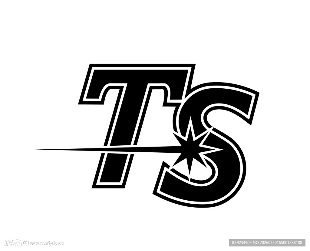 TS字母创意标志设计