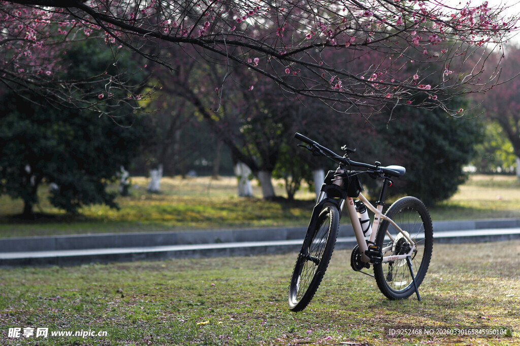 公园 自行车