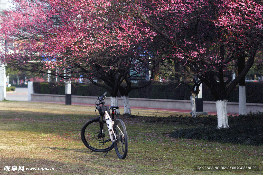 梅花 单车
