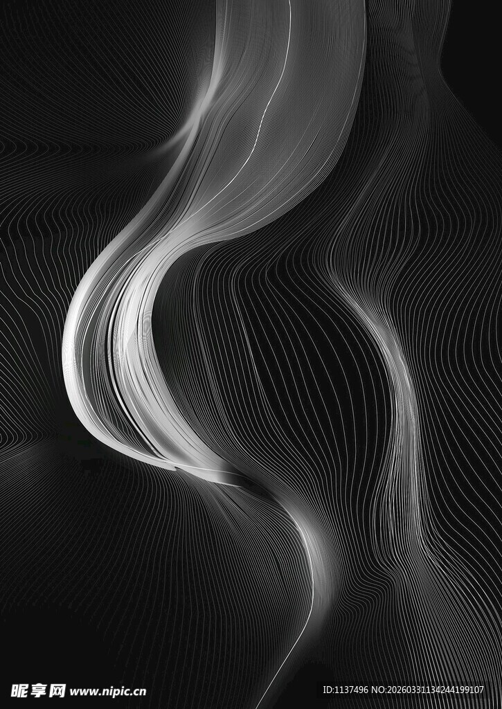 黑白流动线条抽象艺术图