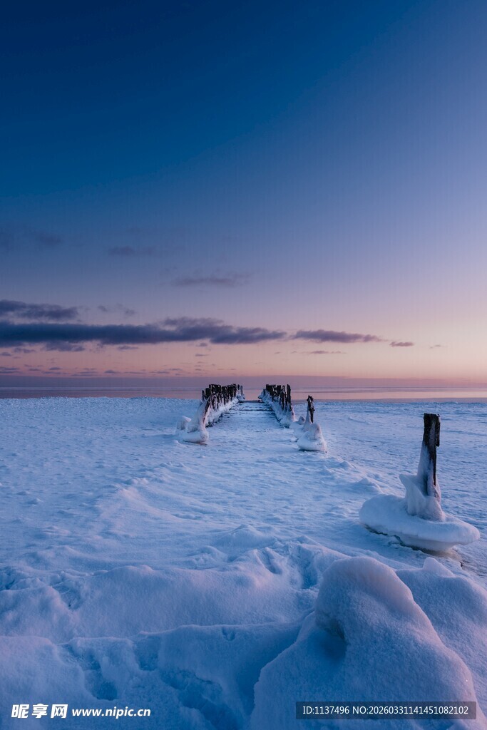 雪野暮色中的孤寂景象