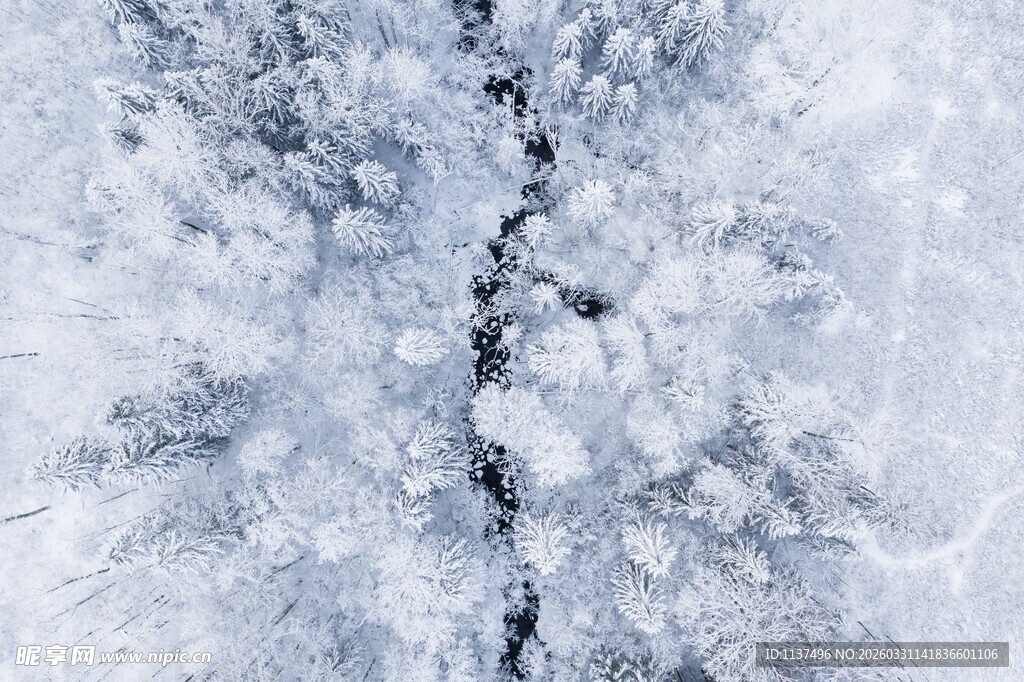 冬日雪林俯瞰美景