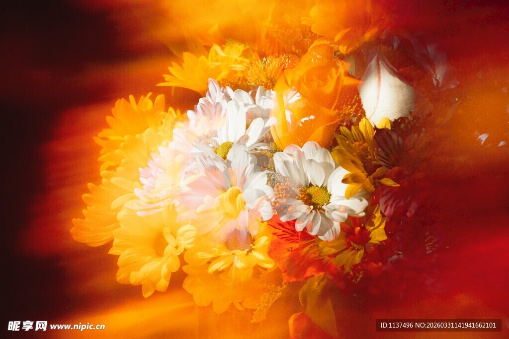 梦幻绚烂花卉艺术图景