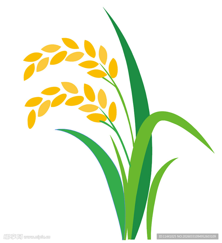 金黄稻穗插画