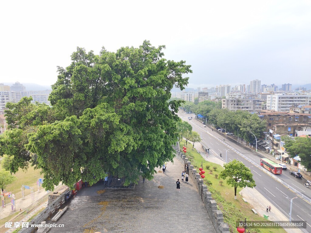 广东肇庆披云楼外景