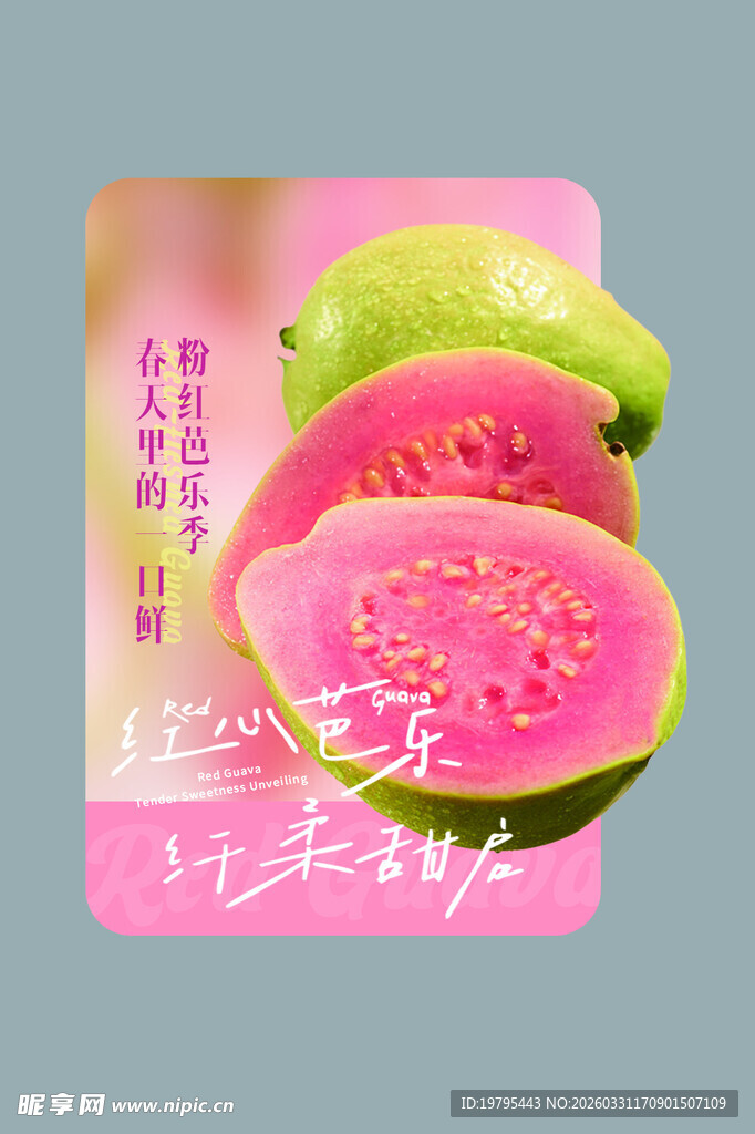 红心芭乐水果宣传卡片