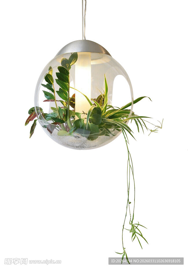 悬挂式玻璃球绿植景观