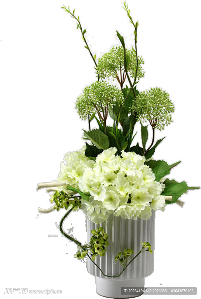 银瓶中的清新绿植花卉