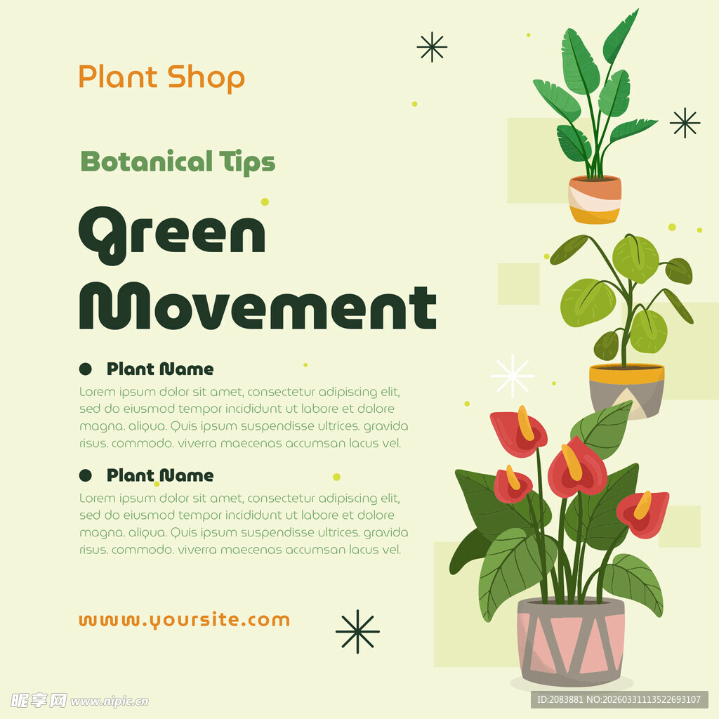 植物店绿植养护小贴士