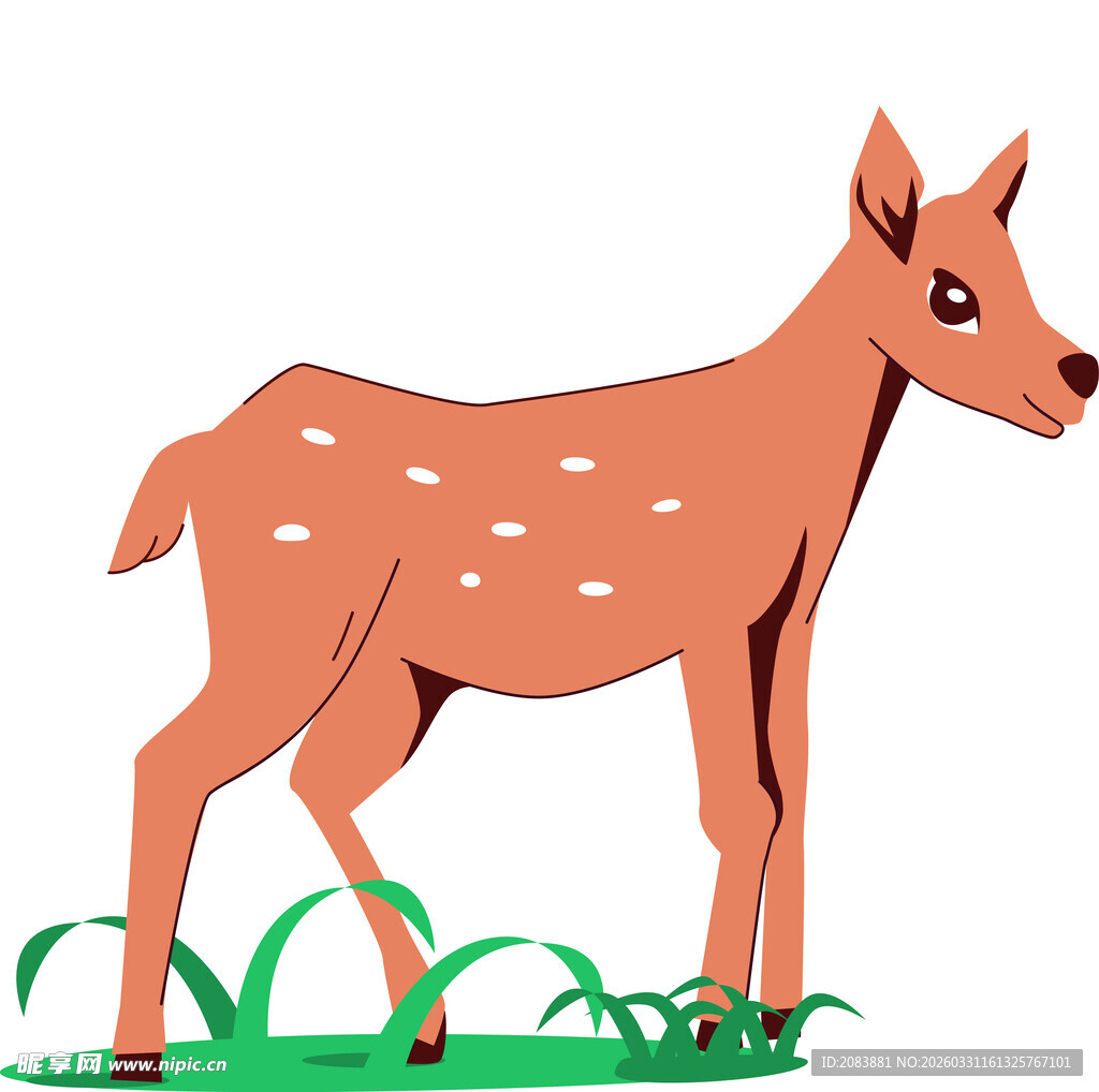 站立的斑点小鹿