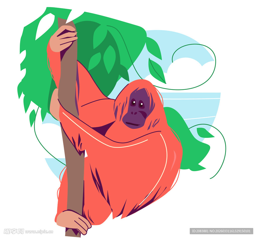 挂在树上的红毛猩猩