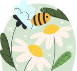 蜜蜂飞舞于雏菊绿叶间