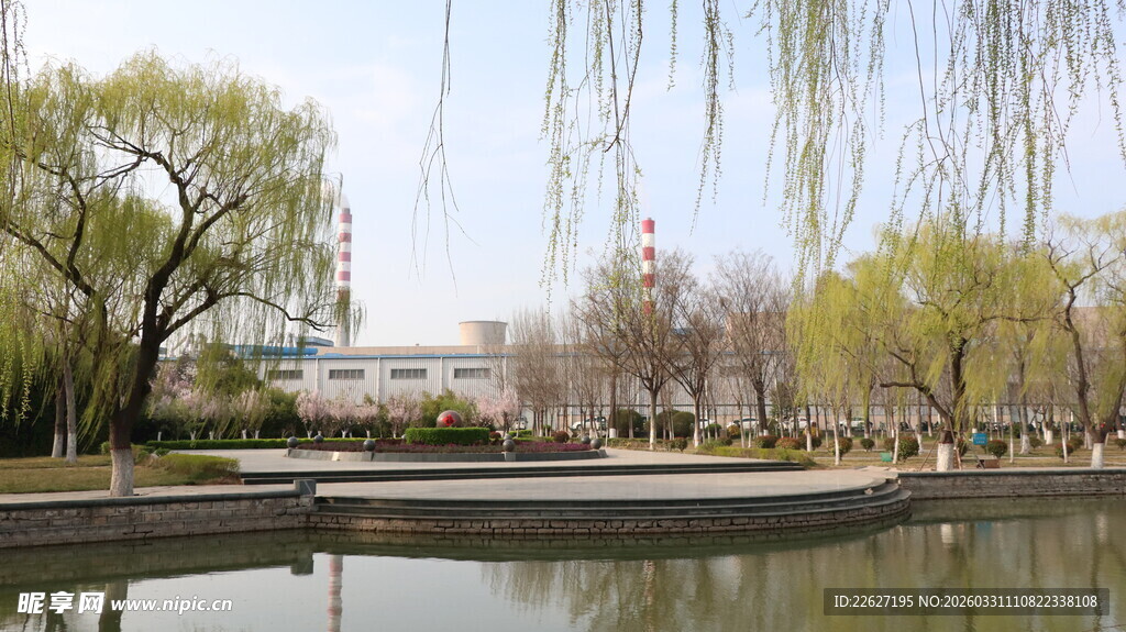 春日湖畔垂柳美景