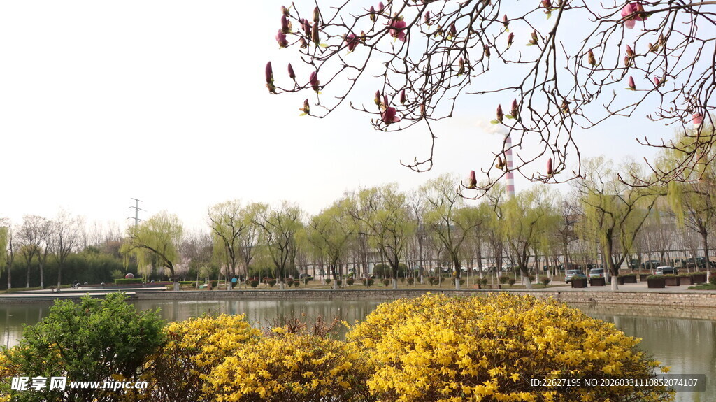 春日湖畔绚烂花木景致