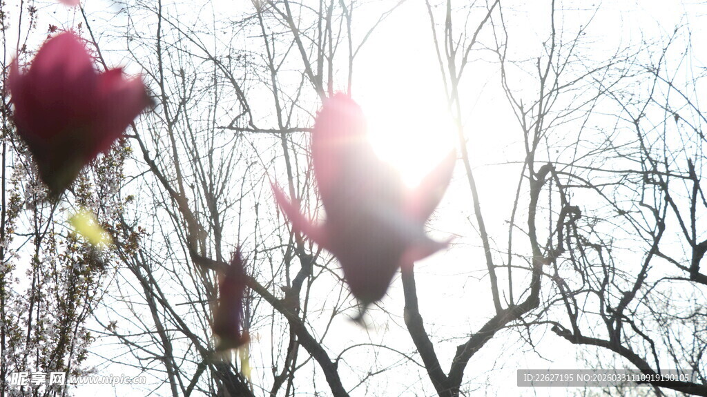 空中飘浮的多彩气球