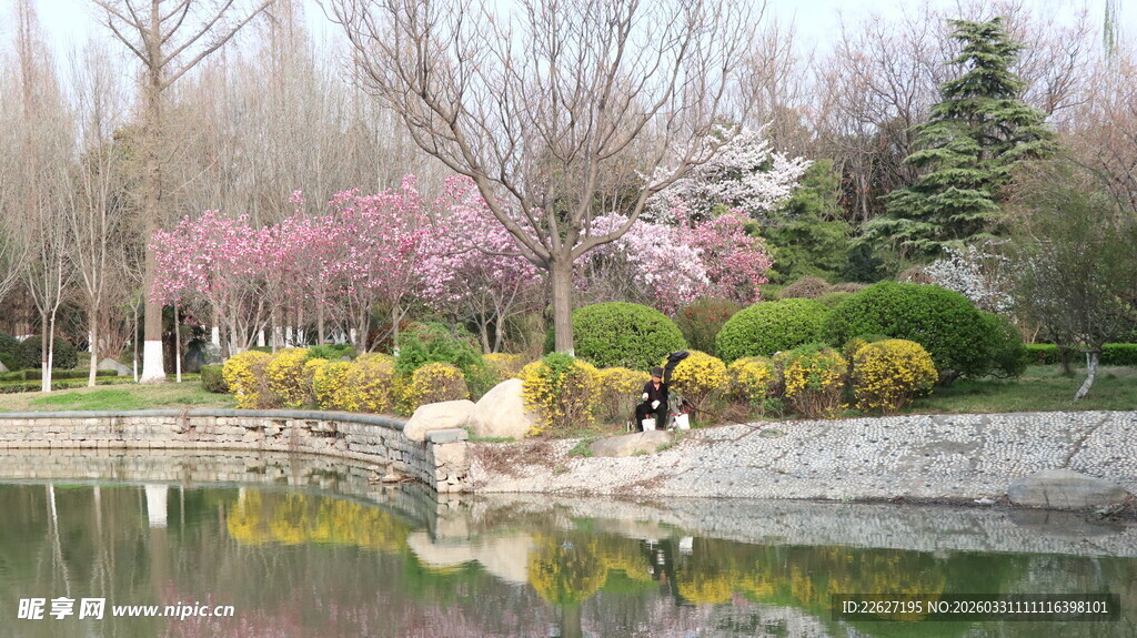 湖畔春日烂漫花卉景观