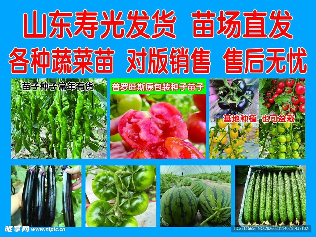 菜苗 产地直发优惠