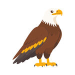 老鹰插画