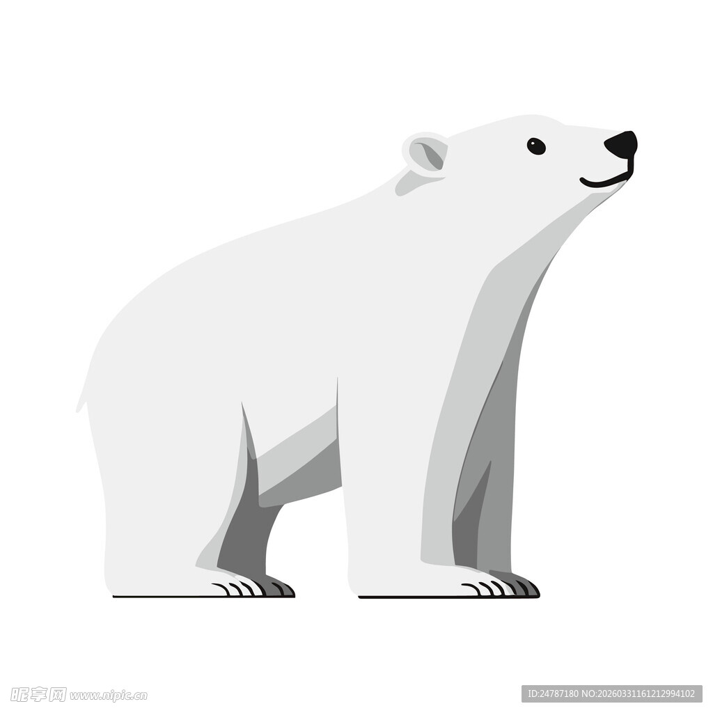 站立的北极熊