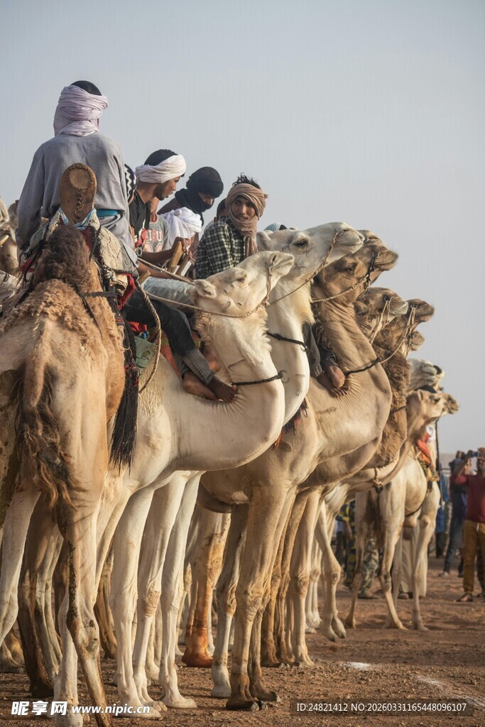 沙漠中骑骆驼的旅行者