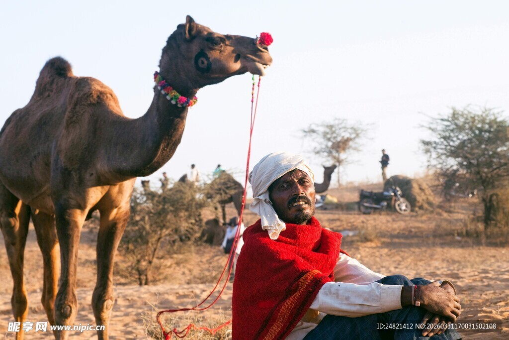 沙漠中人与骆驼的温馨画面