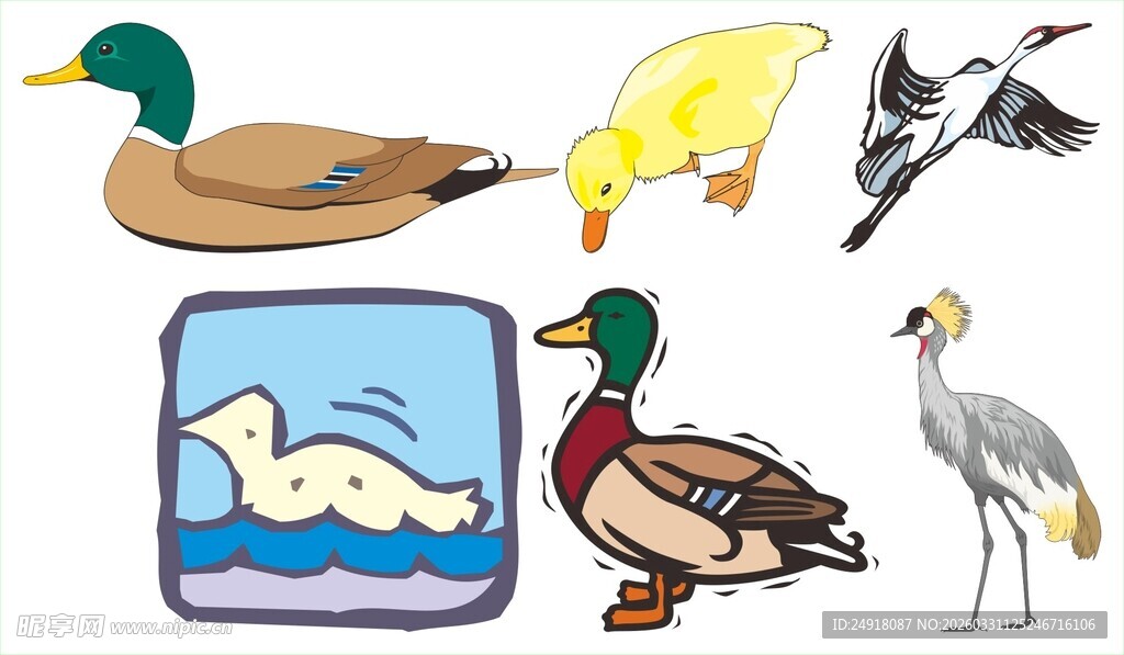 多样水鸟与水生动物合集